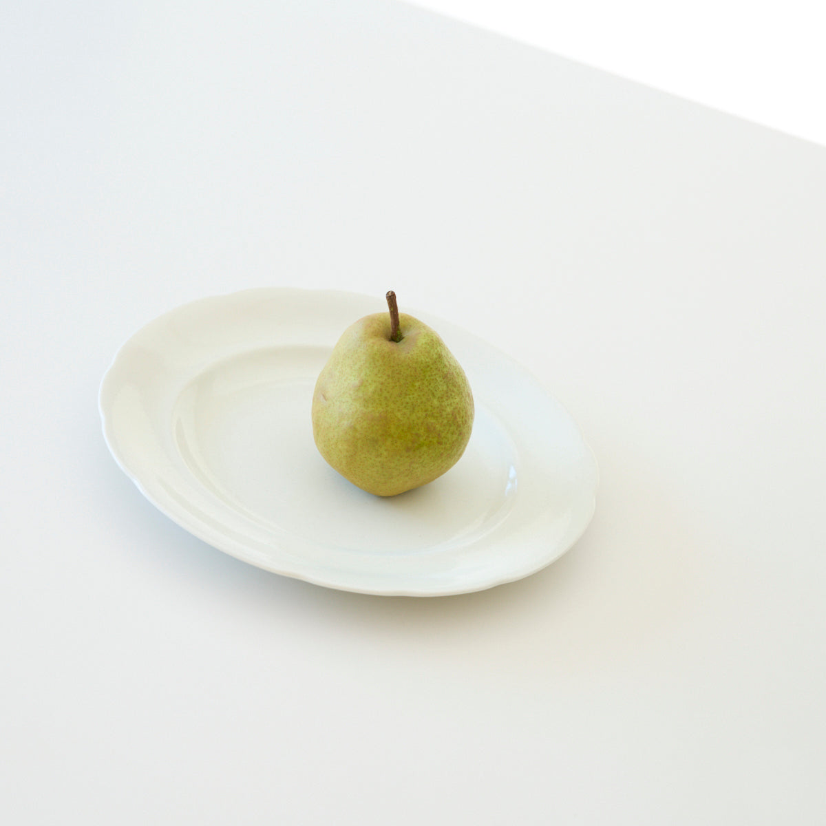 Paperwhite Flower Rim Plate M