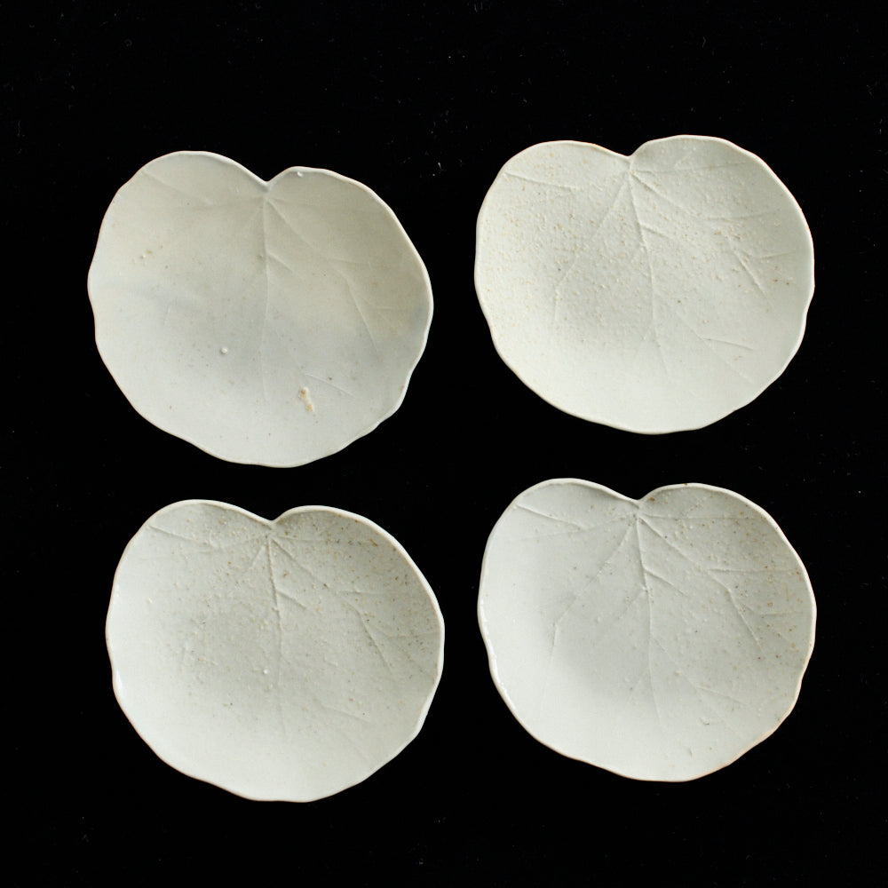 109 葉皿(ユキノシタ)