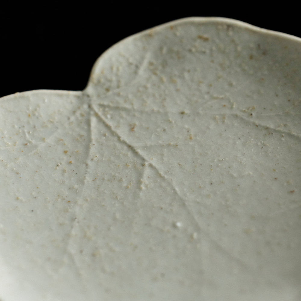 109 葉皿(ユキノシタ)