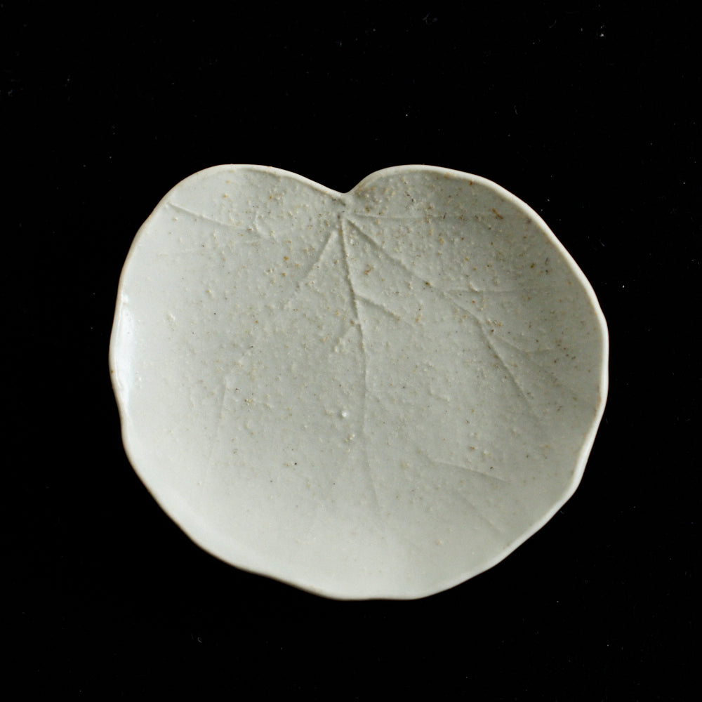 109 葉皿(ユキノシタ)