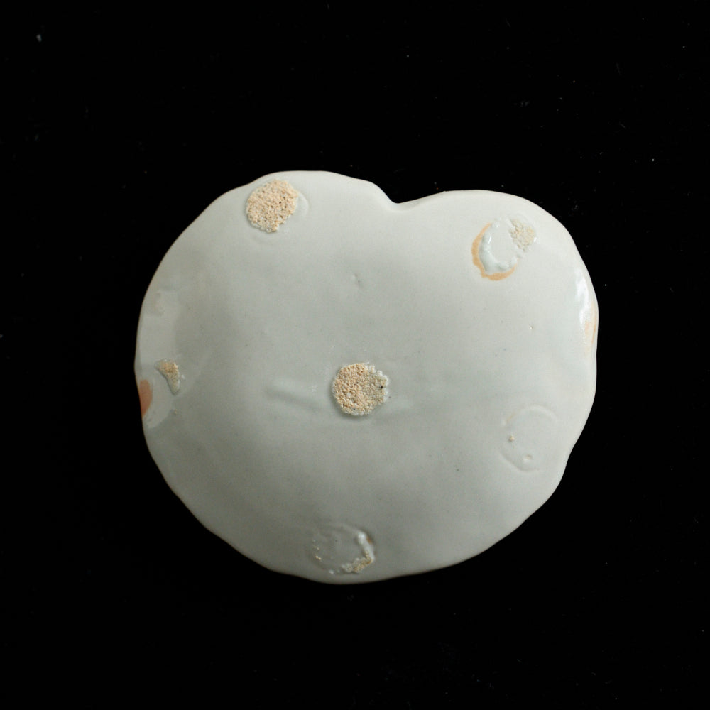 109 葉皿(ユキノシタ)