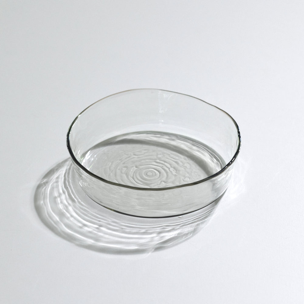 045 mold line petri dish M