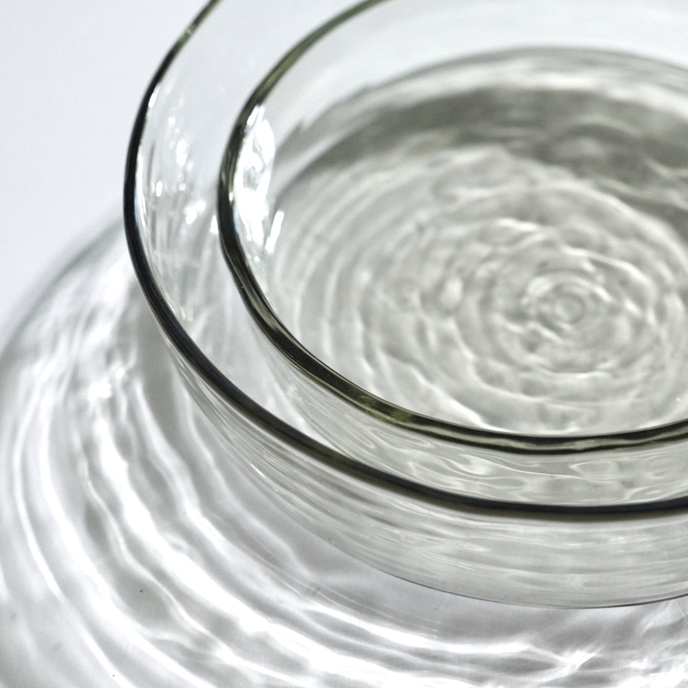 044 mold line petri dish S