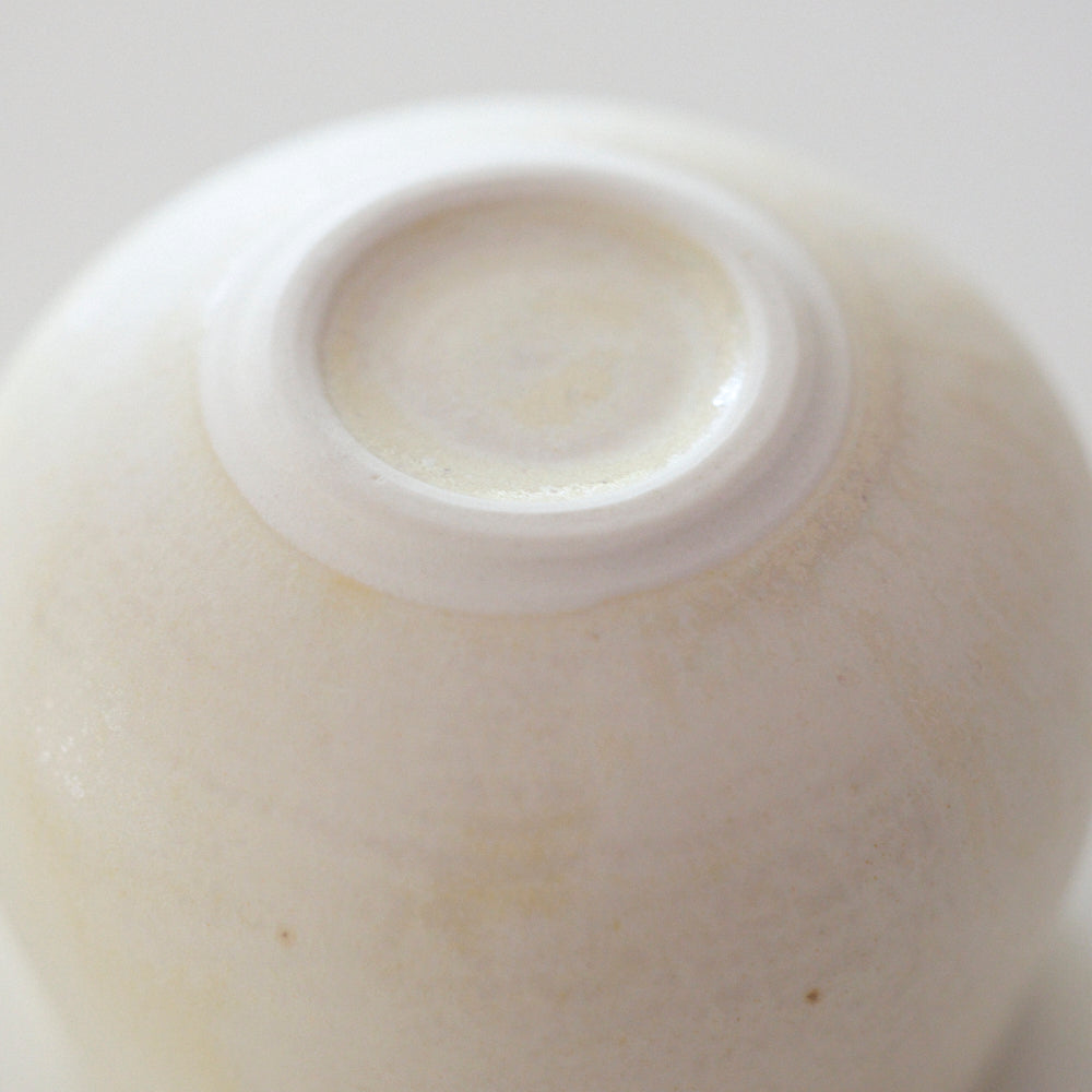 260 杯(B) white