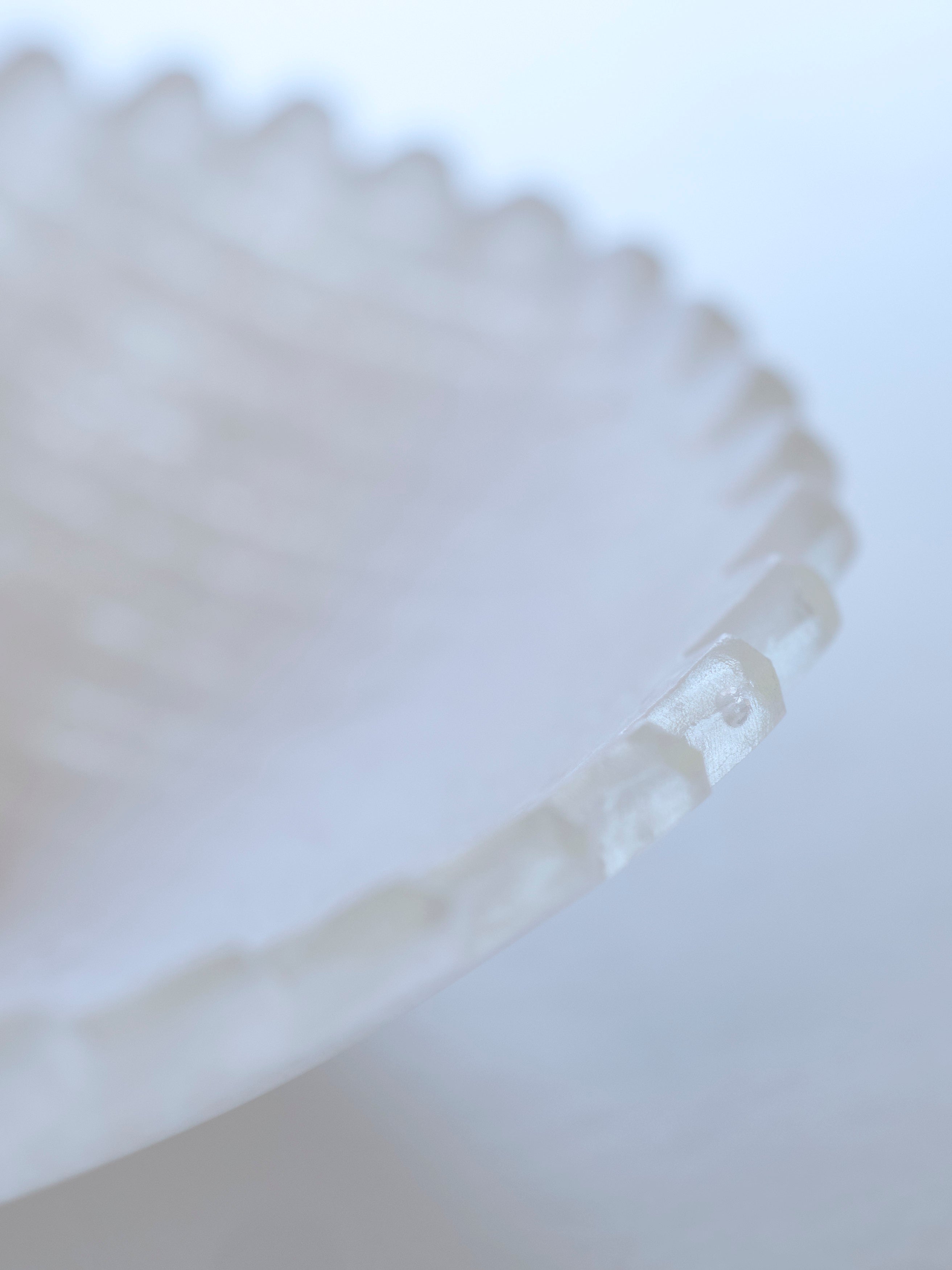 41 frill bowl