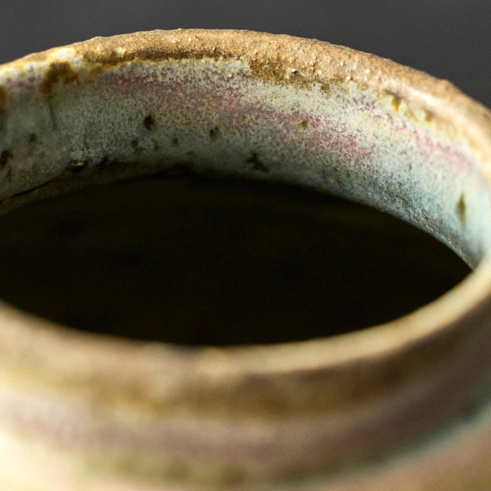 07 梨灰釉窯変壺