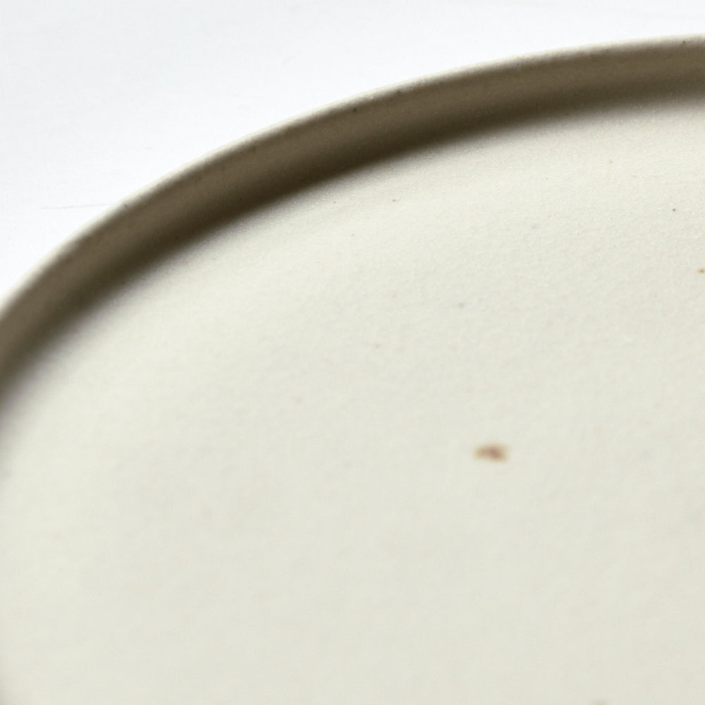 207 平皿 白 19cm