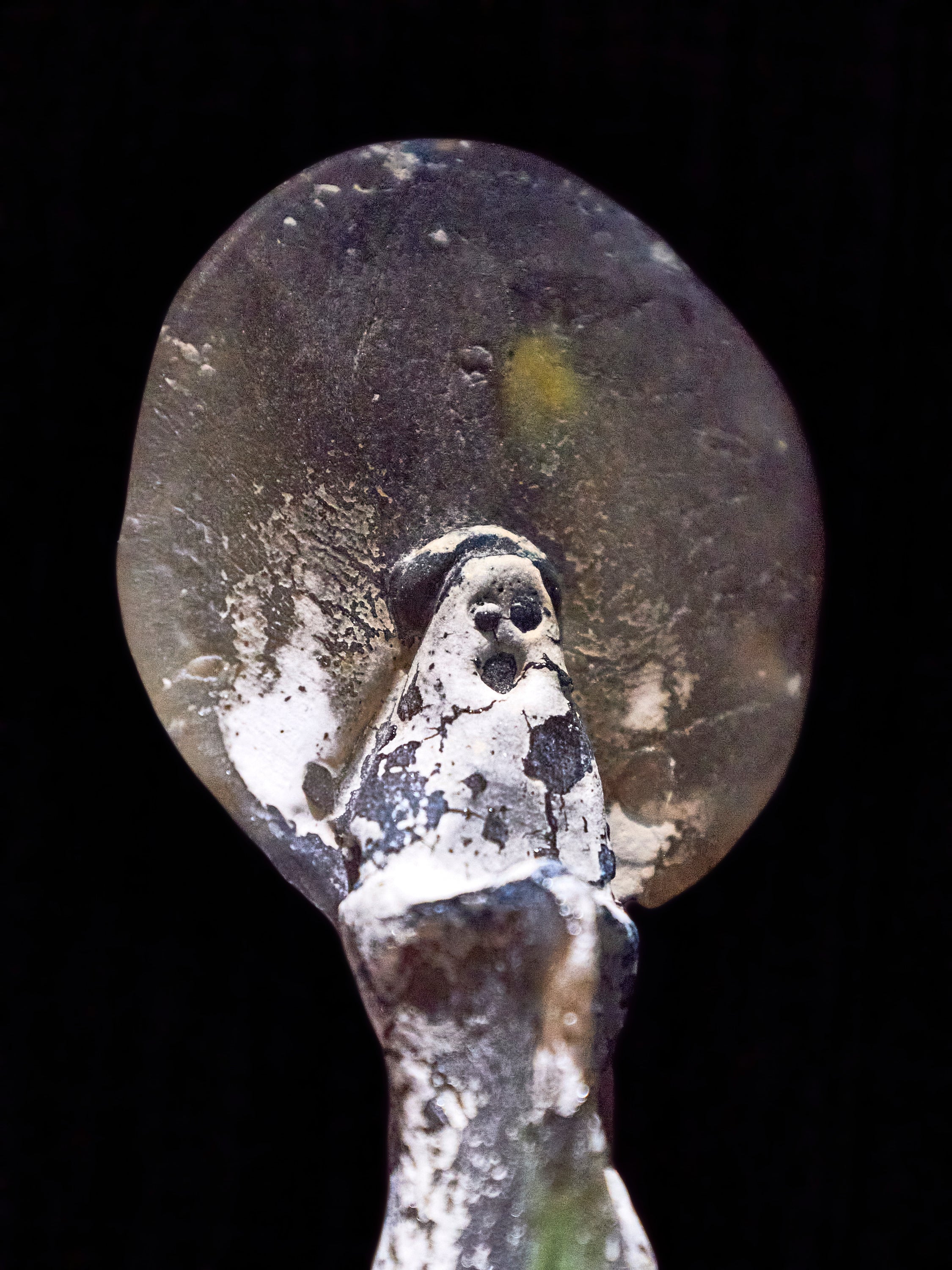 05 Prayer 長身 小