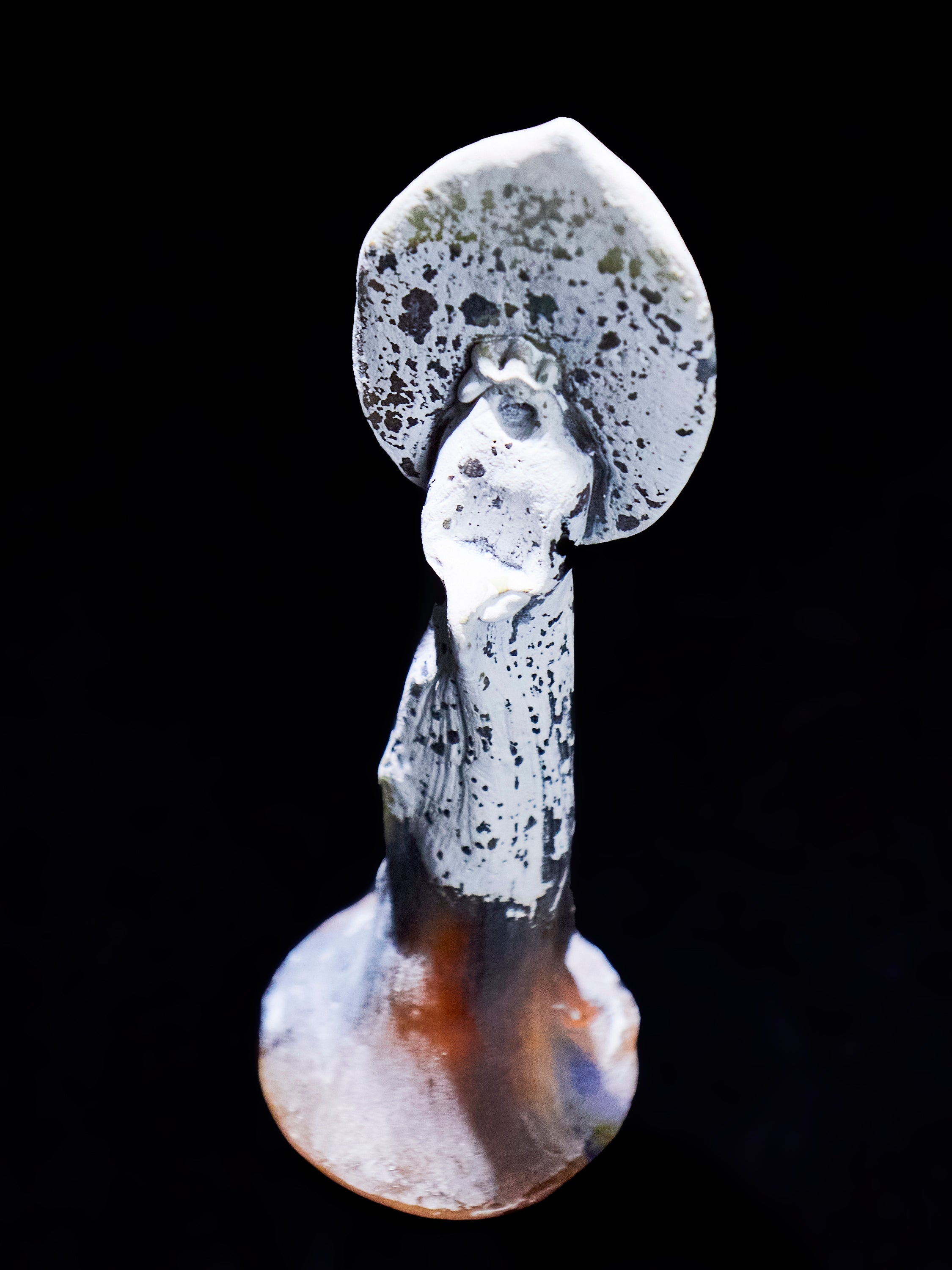 06 Prayer 長身 小