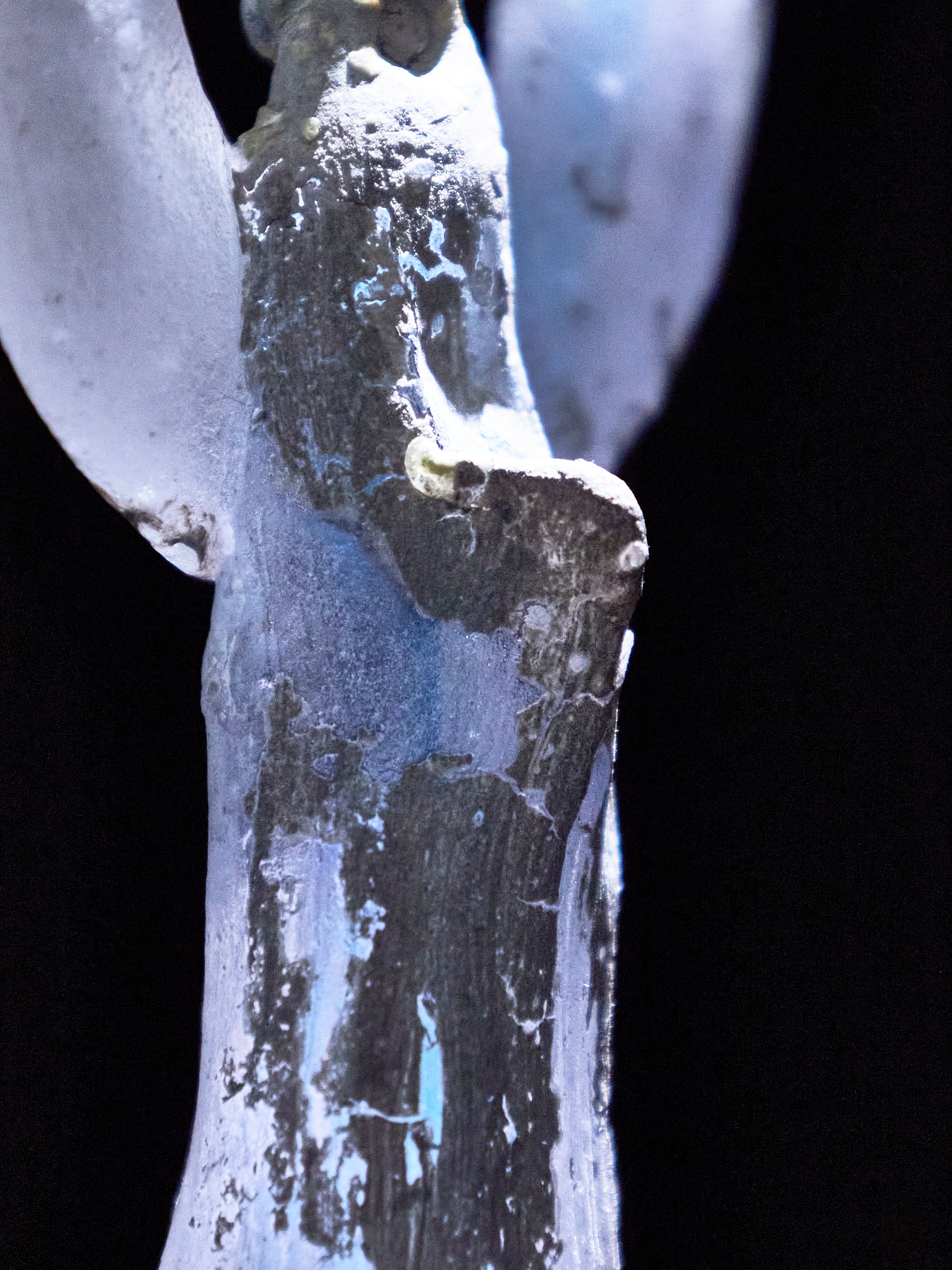 06 Prayer 長身 小