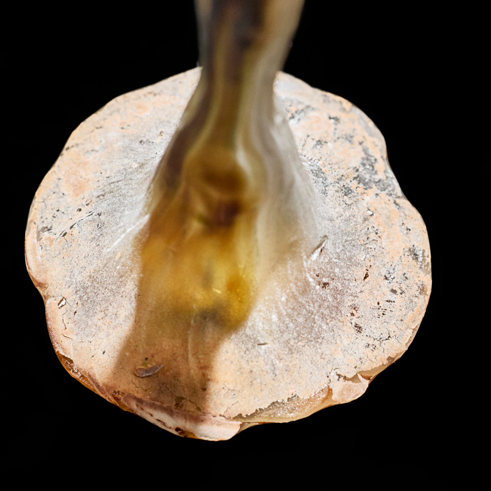 03_62 Prayer 長身 中