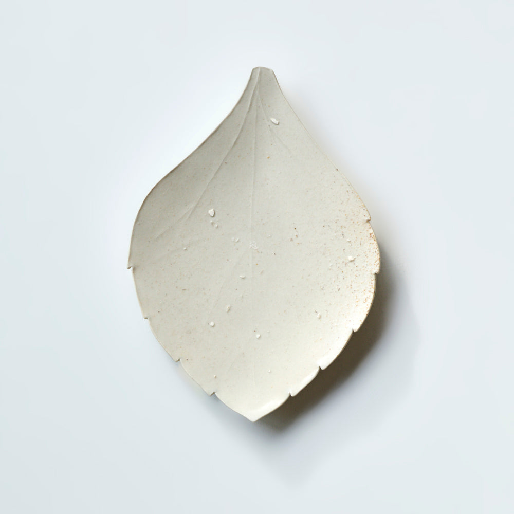 093 葉皿 フッキソウ(大)