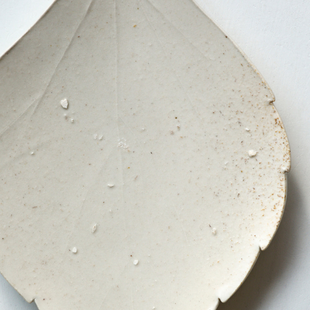 093 葉皿 フッキソウ(大)