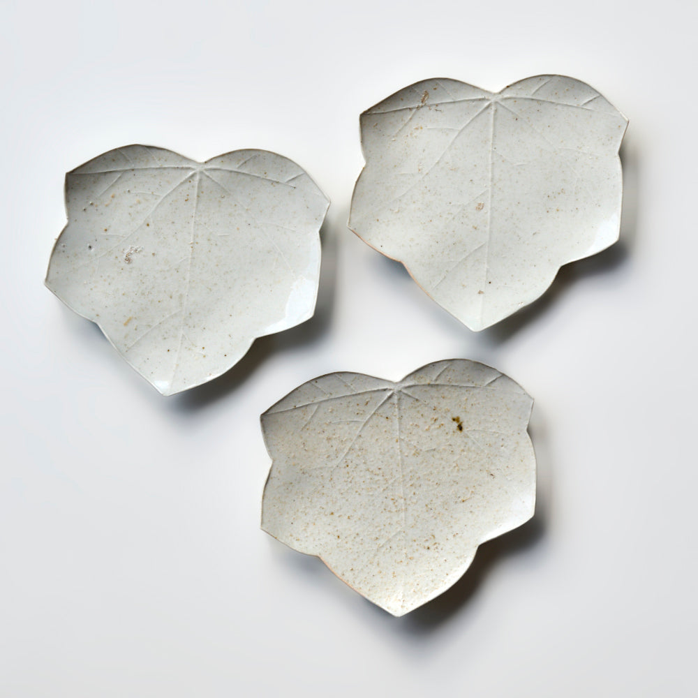 104 葉皿(ヤワタソウ)