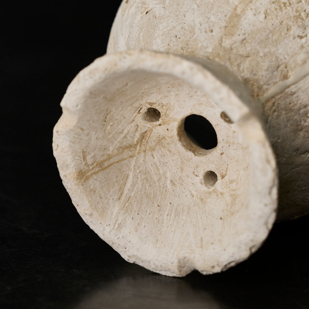 11 shell cup (植木鉢)