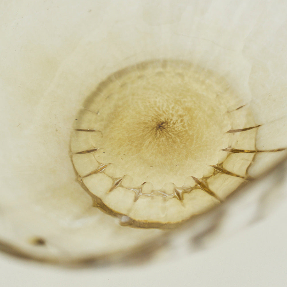 21 "Hangage" Akebibachi Amber