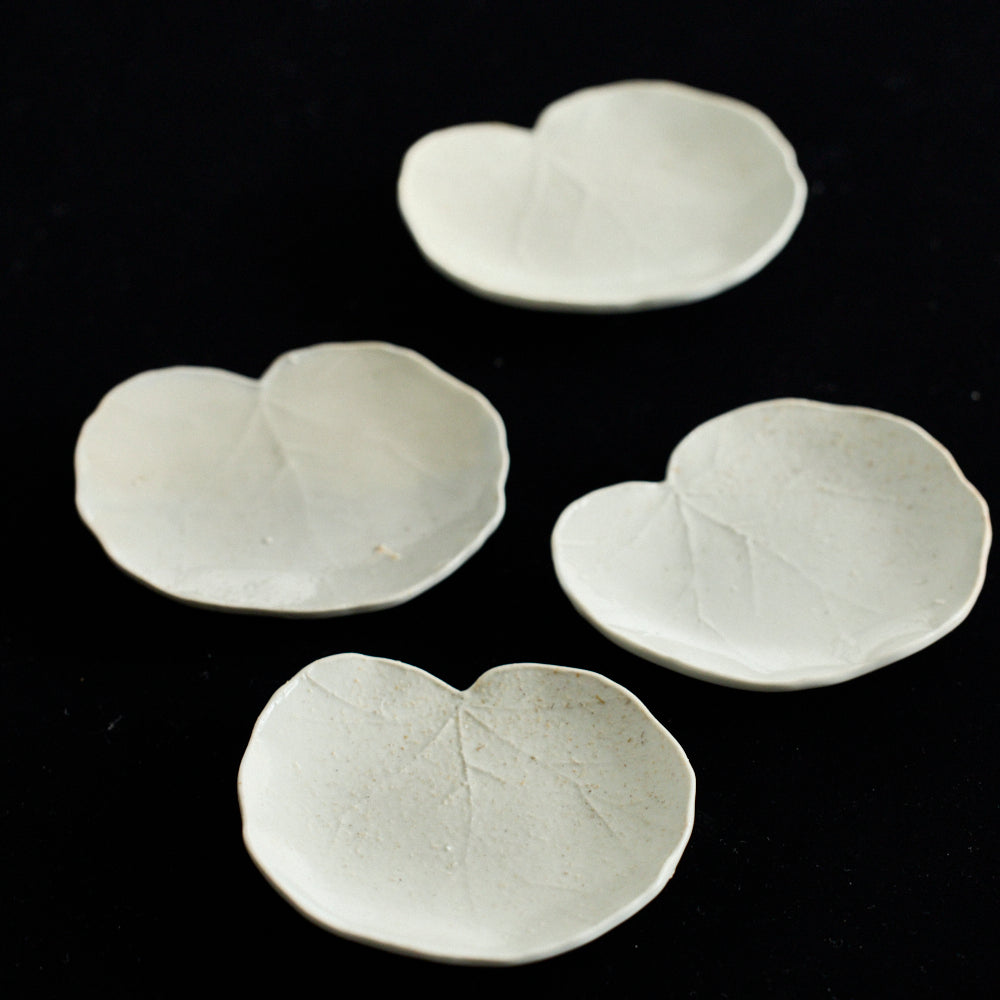 109 葉皿(ユキノシタ)