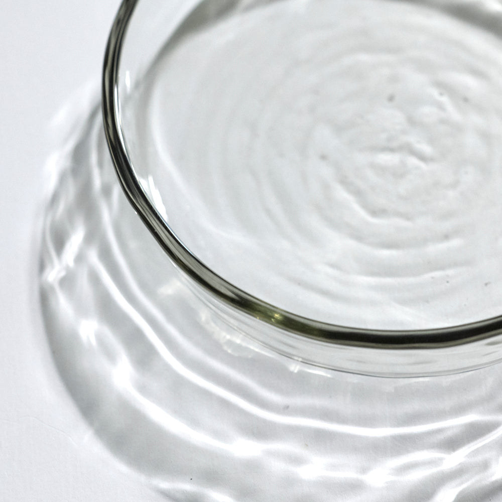 045 mold line petri dish M
