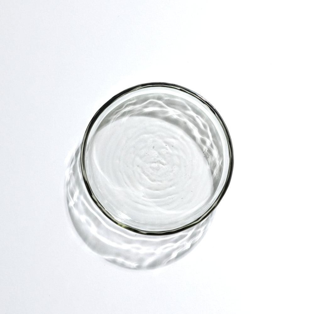044 mold line petri dish S