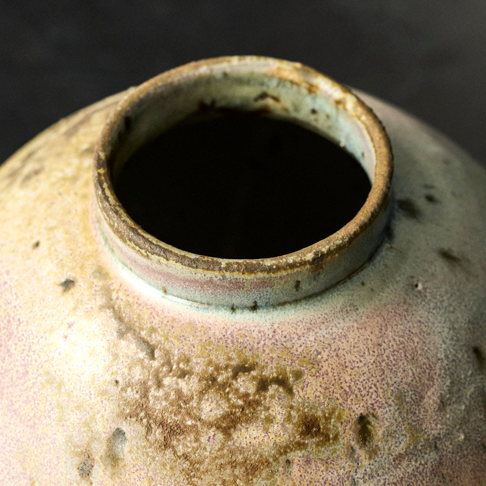 07 梨灰釉窯変壺