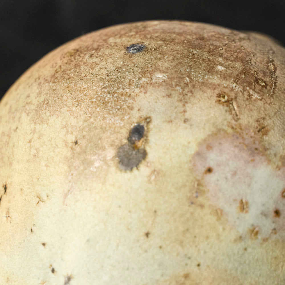 12 灰かむり梅瓶