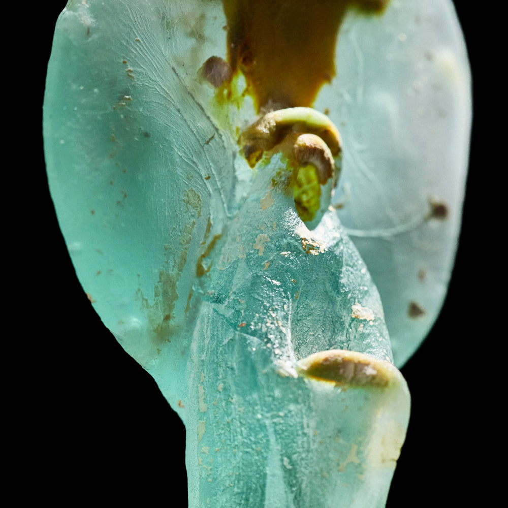 04 Prayer 長身 中