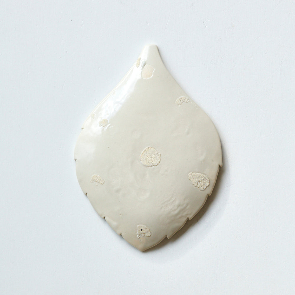 093 葉皿 フッキソウ(大)