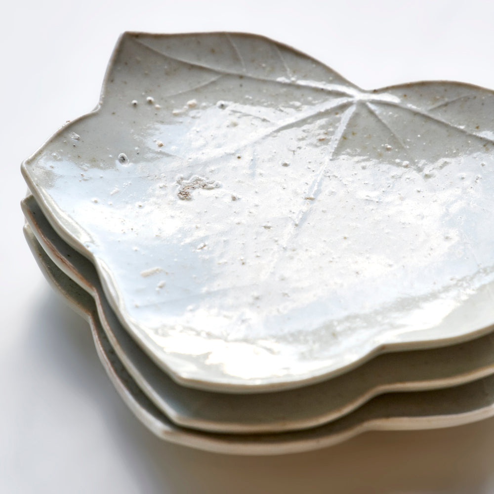 104 葉皿(ヤワタソウ)