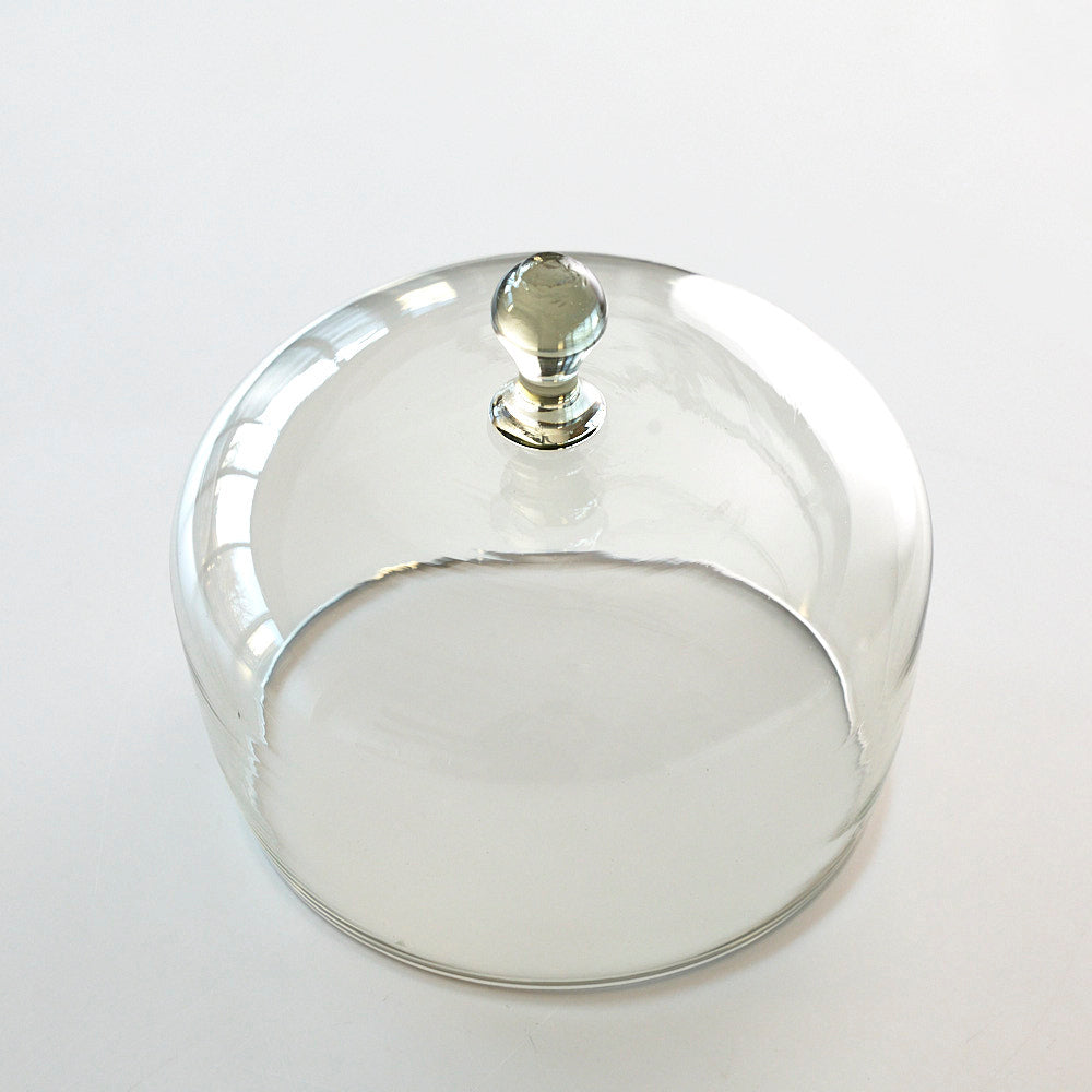 46 ガラスドーム