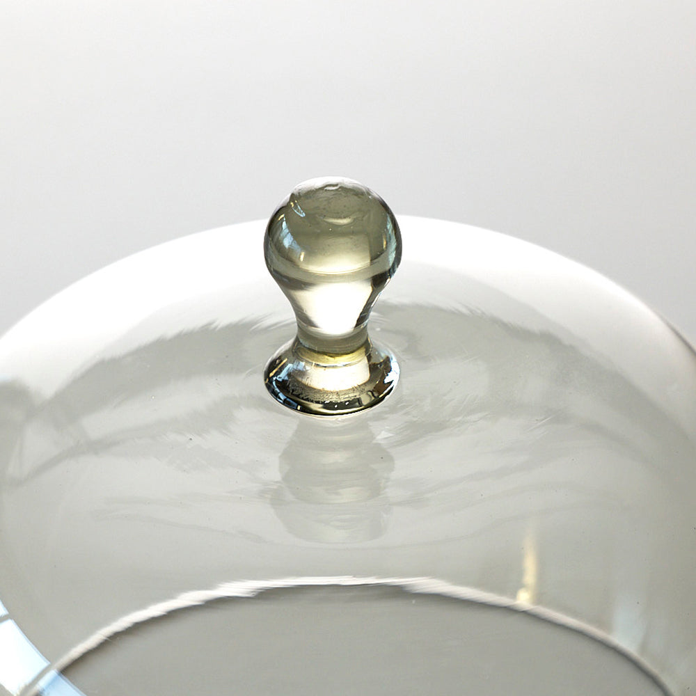 46 ガラスドーム