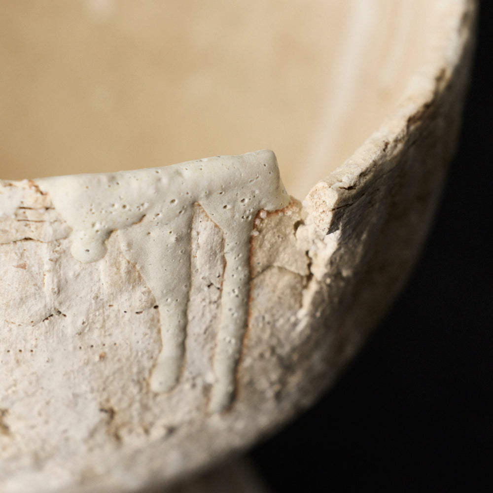 11 shell cup (植木鉢)