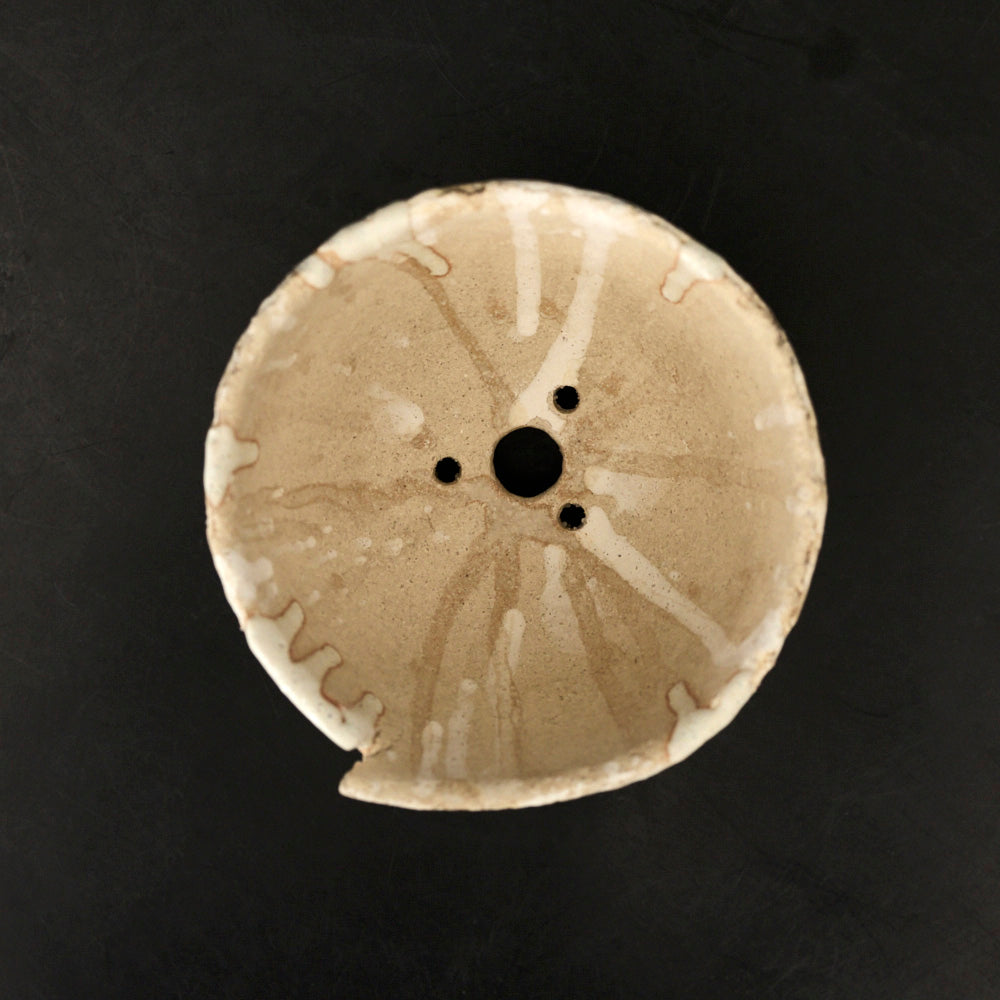 11 shell cup (植木鉢)