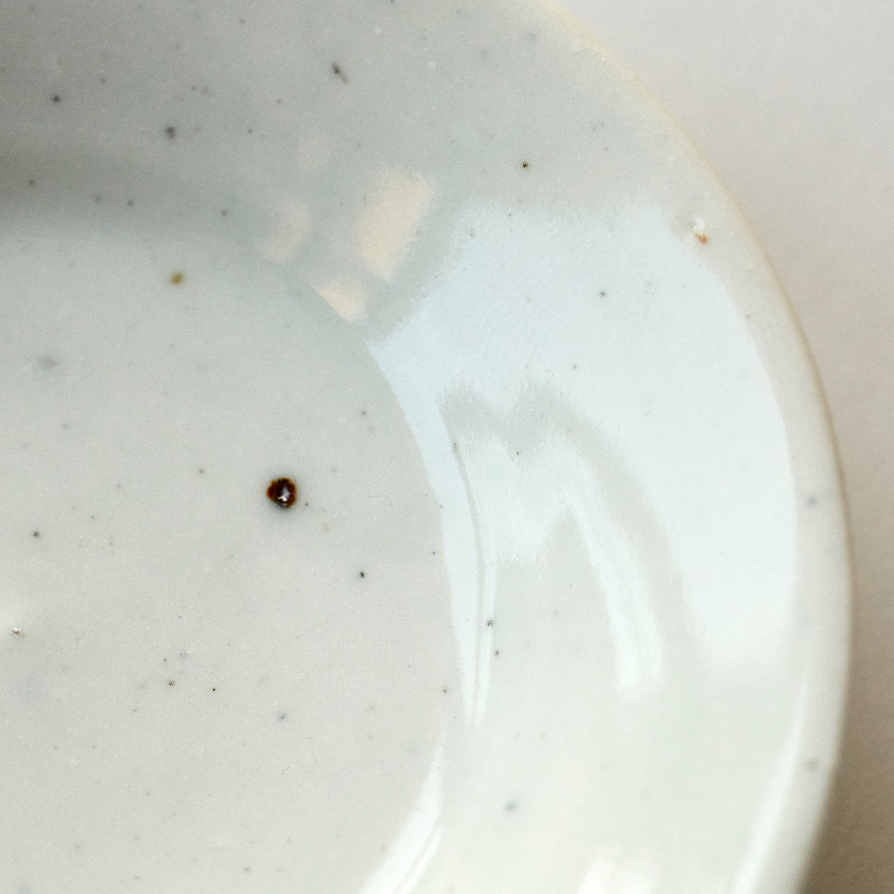 White Porcelain Noodle Bowl