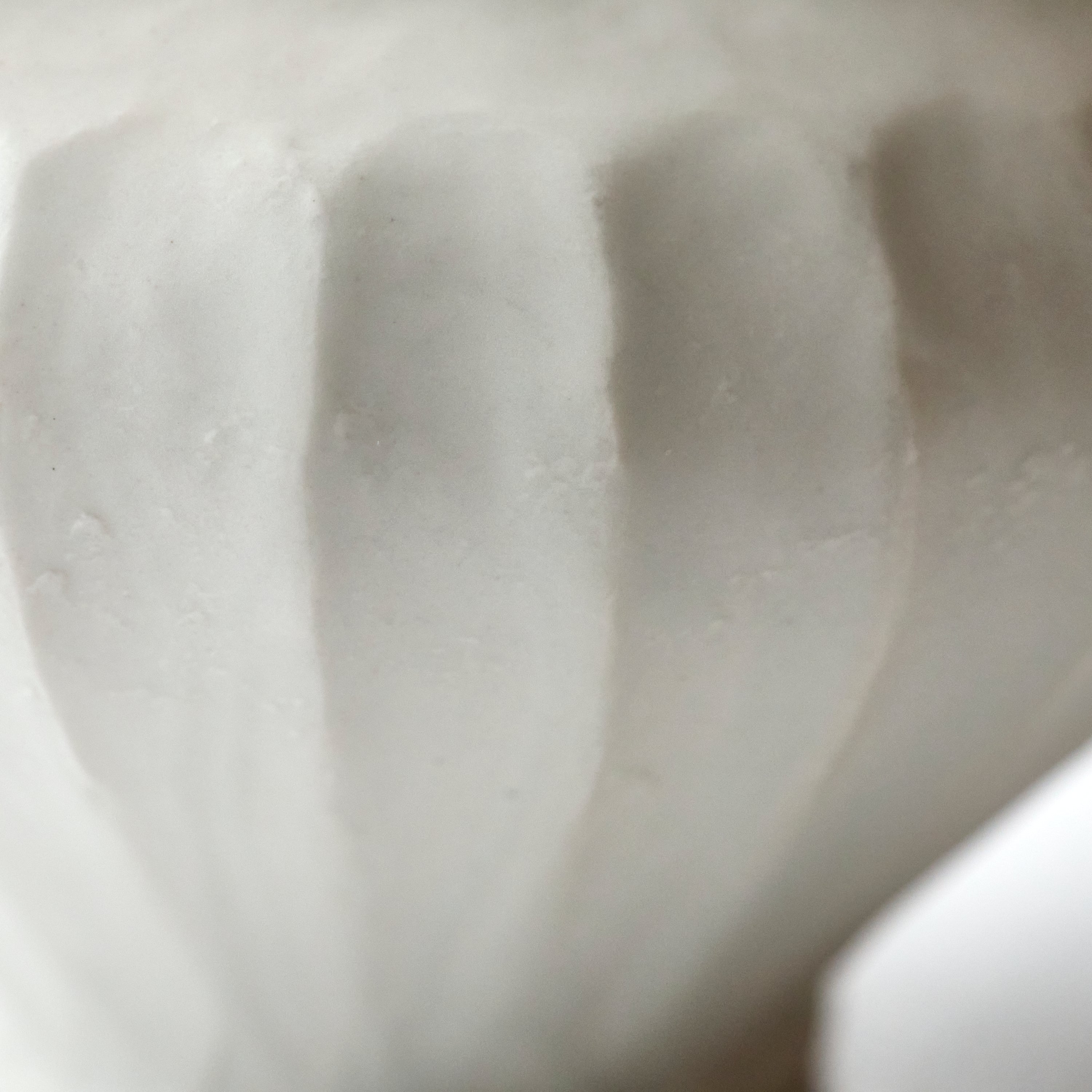 White Porcelain Noodle Bowl